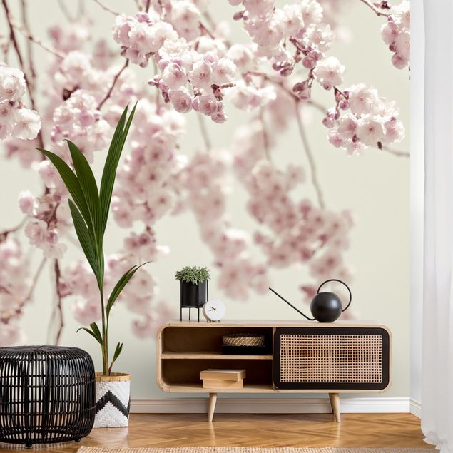 Papel de pared blanco Dancing Cherry Blossoms