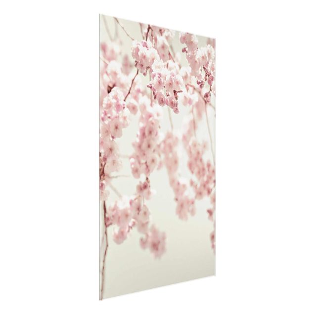 Cuadros de flores modernos Dancing Cherry Blossoms