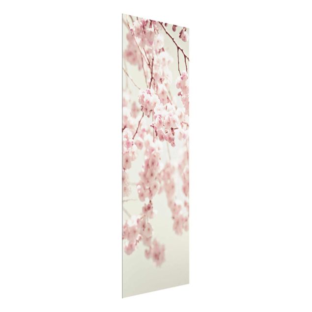 Cuadros de flores modernos Dancing Cherry Blossoms