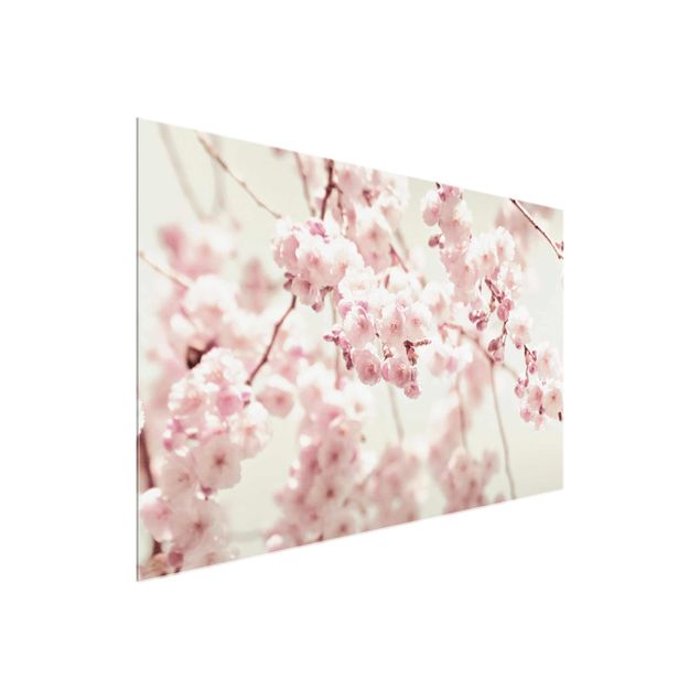 Cuadros de flores Dancing Cherry Blossoms