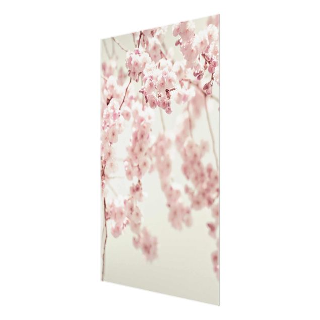 Cuadros modernos Dancing Cherry Blossoms