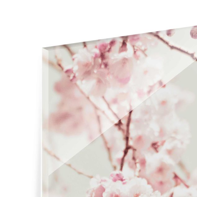 Tableros magnéticos de vidrio Dancing Cherry Blossoms