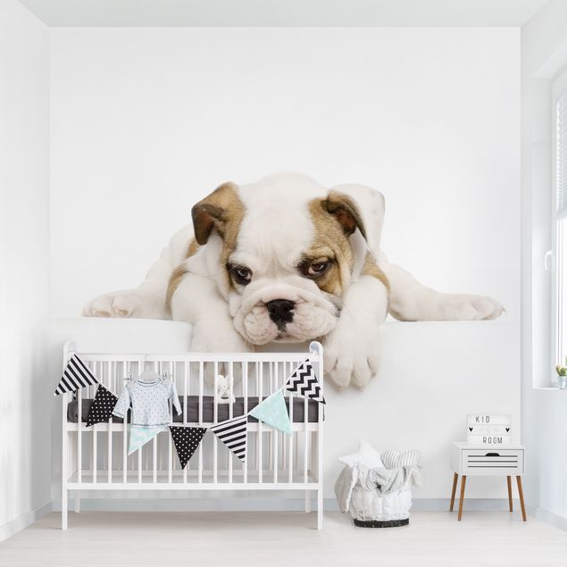 Decoración habitación infantil Little Bulldog
