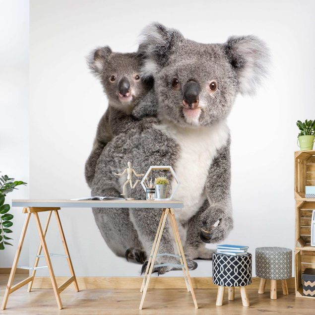 Papel pintado salón moderno Koala Bears