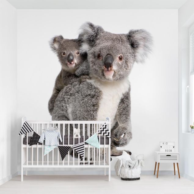 Papel pintado infantil animales Koala Bears