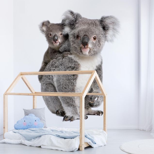 Papel de pared Koala Bears