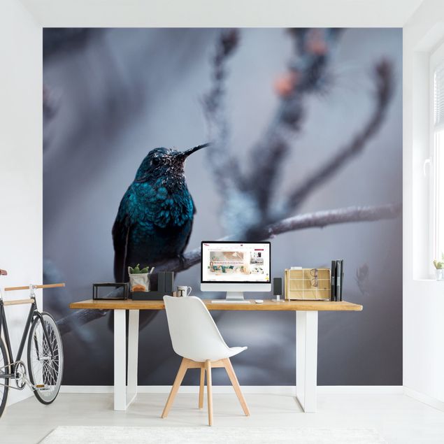 Papel pintado moderno Hummingbird In Winter