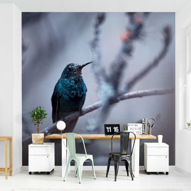Papel pintado animales Hummingbird In Winter