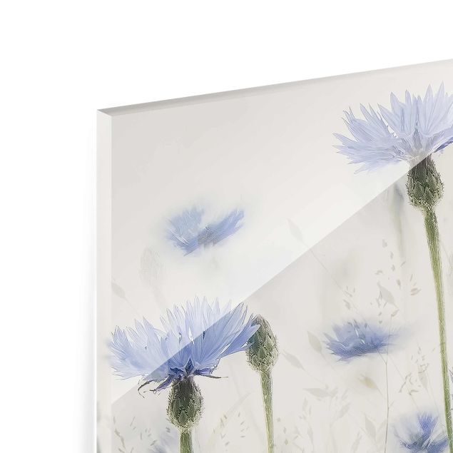 Tableros magnéticos de vidrio Cornflowers And Grasses In A Field