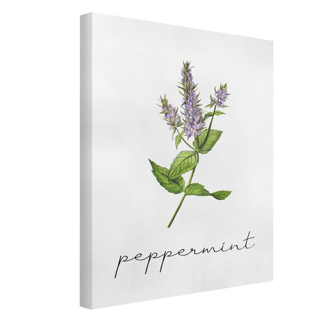 Cuadro de especias Herbs Illustration Pepper Mint