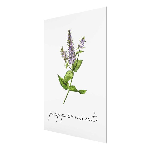 Cuadros decorativos Herbs Illustration Pepper Mint
