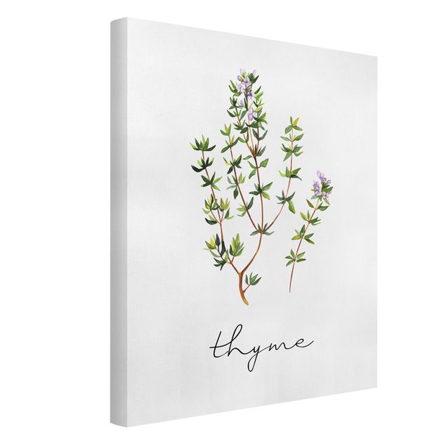 Cuadro de especias Herbs Illustration Thyme