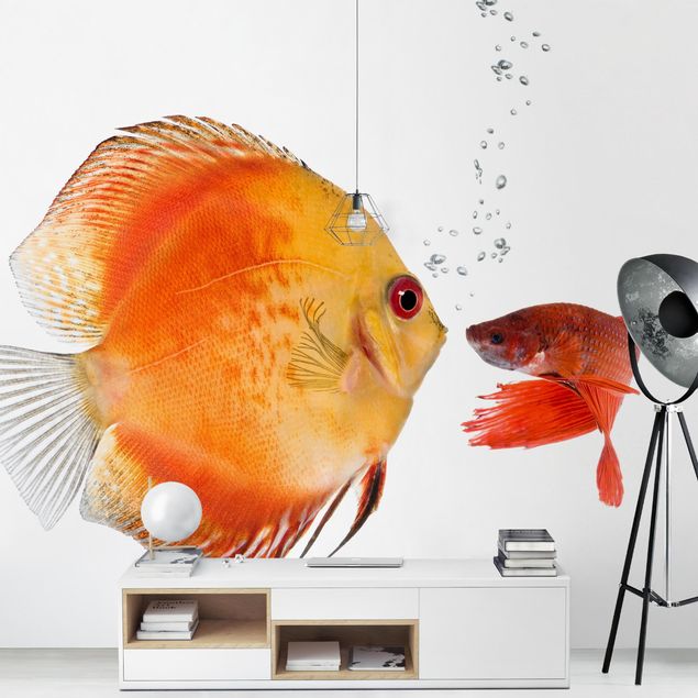 Papeles pintados modernos Kissing Fish
