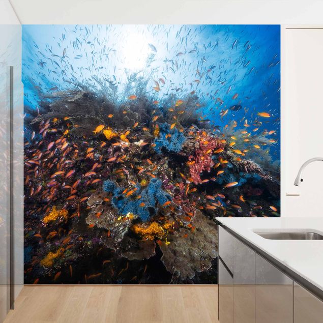 Papel pintado salón moderno Lagoon With Fish