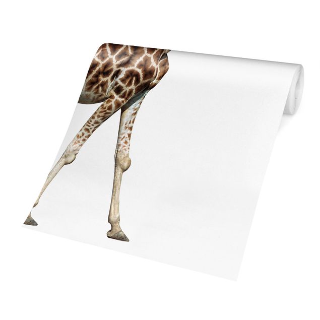 Papel pintado blanco Running Giraffe