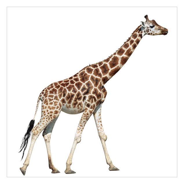 Papel pintado Running Giraffe