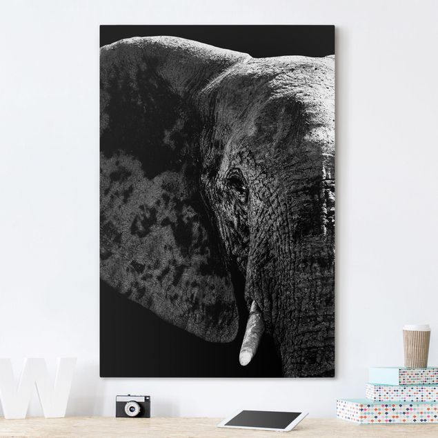 Cuadros elefantes African Elephant black and white