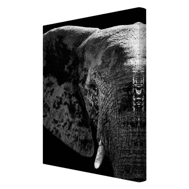 Lienzos animales African Elephant black and white