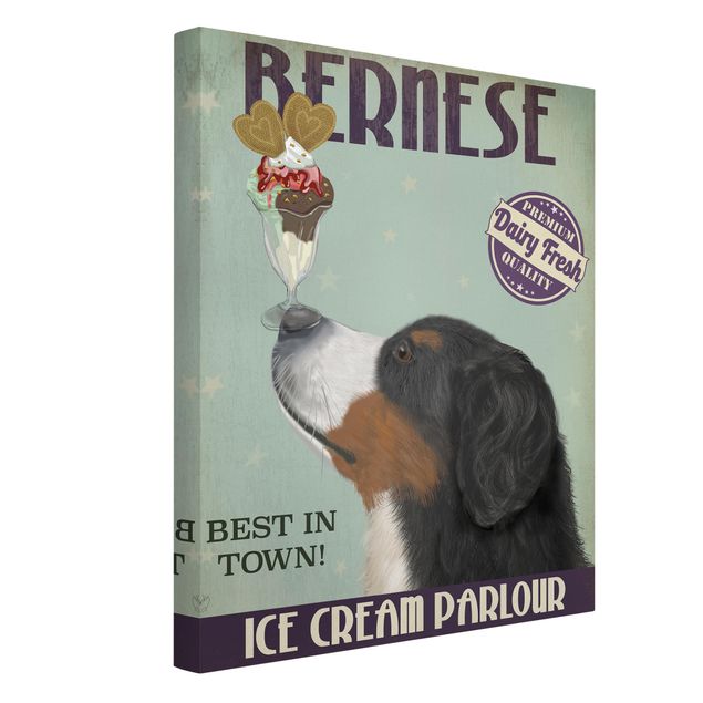 Lienzos frases Bernese Mountain Dog With Ice
