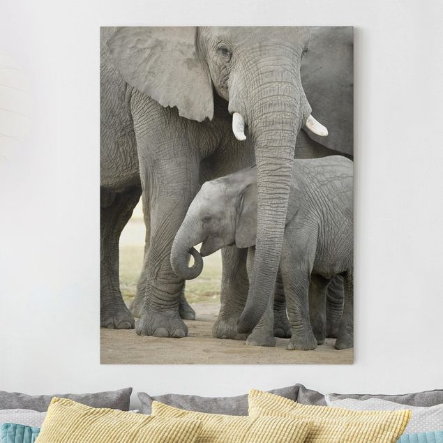 Lienzos elefantes Elephant Love
