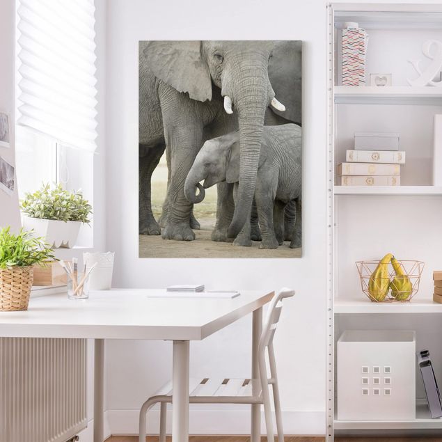 Cuadros elefantes Elephant Love