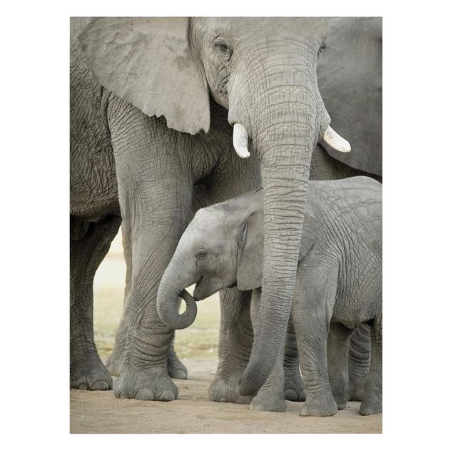 Cuadros de África Elephant Love
