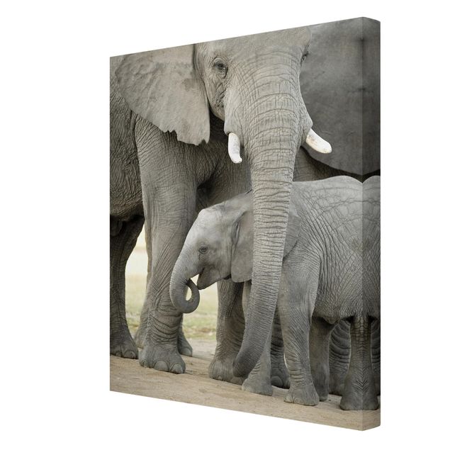 Cuadros modernos Elephant Love