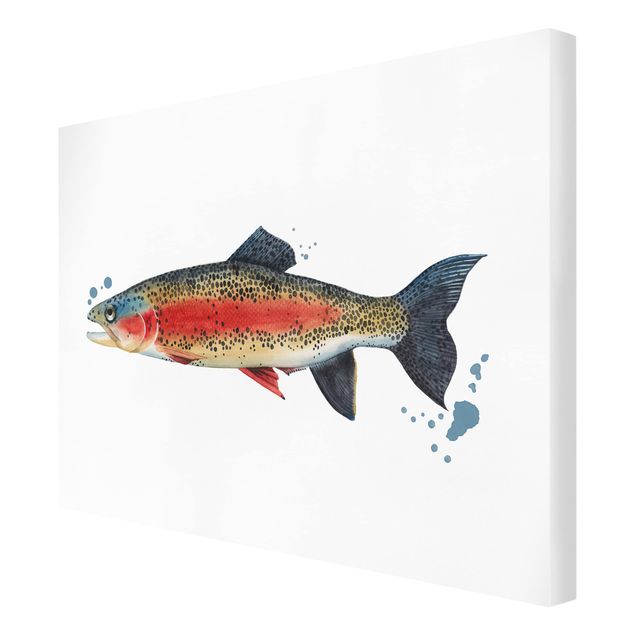 Cuadros animales Color Catch - Trout