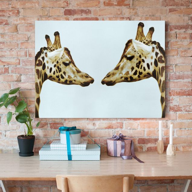 Lienzos de jirafas Giraffes In Love