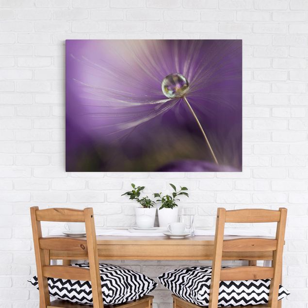 Cuadros en lienzo de flores Dandelion In Violet