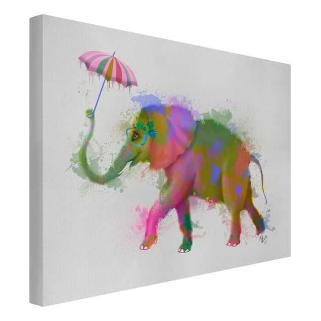 Lienzos animales Rainbow Splash Elephant