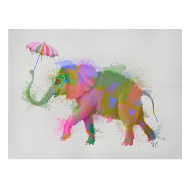 Cuadros modernos Rainbow Splash Elephant