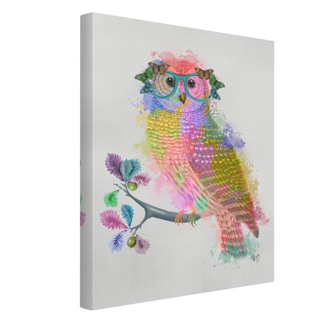 Cuadros animales Rainbow Splash Owl