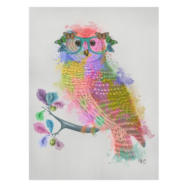 Cuadros decorativos Rainbow Splash Owl