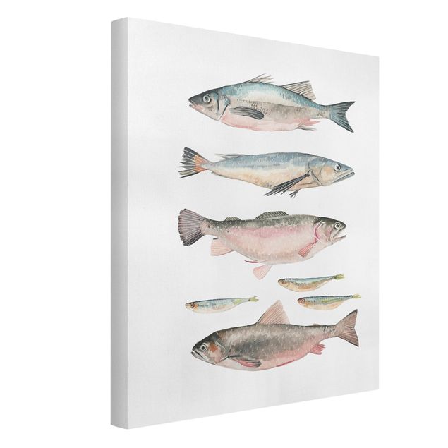 Lienzos animales Seven Fish In Watercolour I