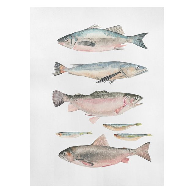Cuadros modernos Seven Fish In Watercolour I
