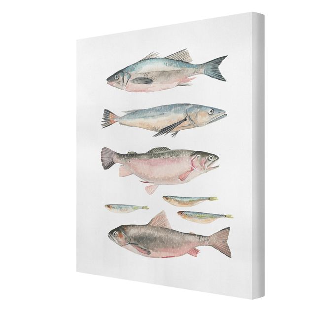 Cuadros de animales Seven Fish In Watercolour I