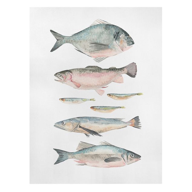 Cuadros modernos y elegantes Seven Fish In Watercolour II