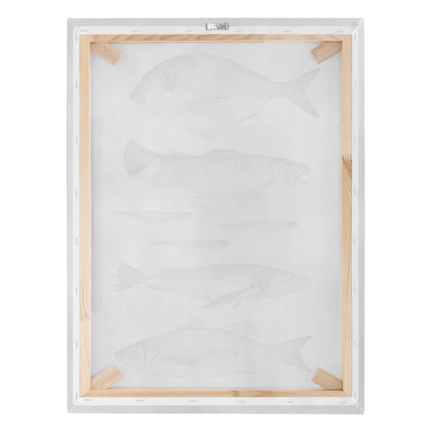 Cuadros modernos Seven Fish In Watercolour II