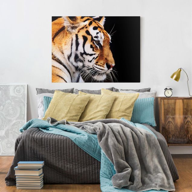 Lienzos de tigres Tiger Beauty
