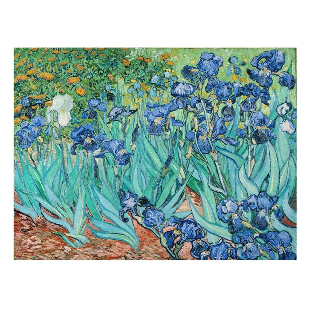 Cuadros famosos Vincent Van Gogh - Iris