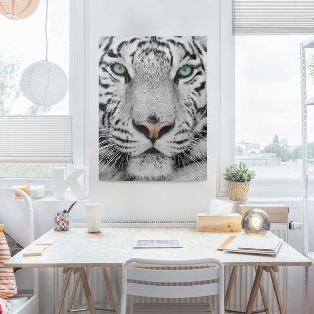 Lienzos de tigres White Tiger
