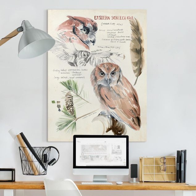 Cuadros en lienzo de flores Wilderness Journal - Owl