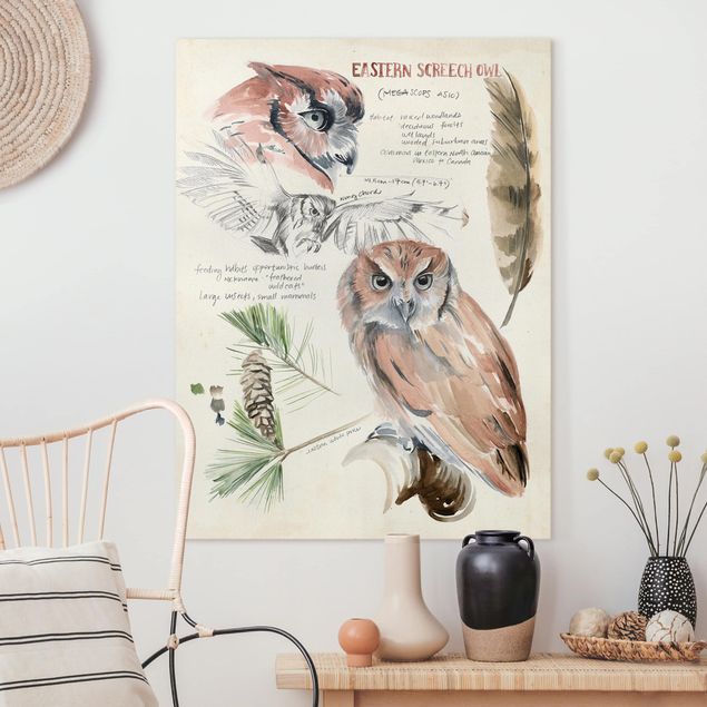 Decoración en la cocina Wilderness Journal - Owl