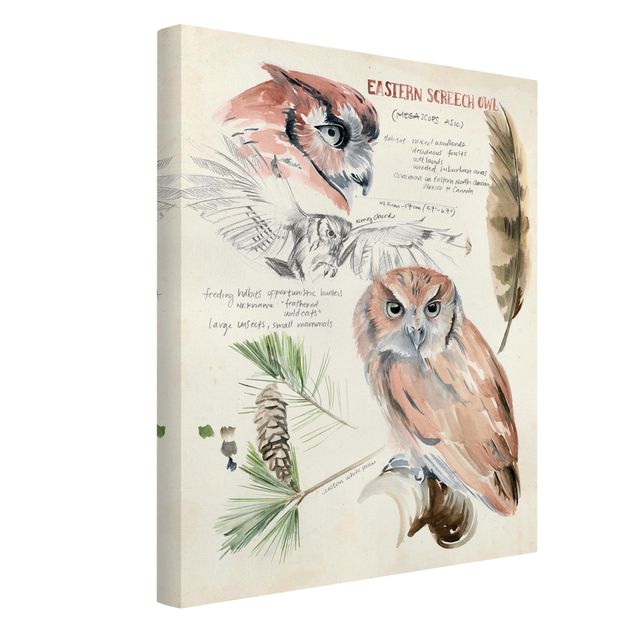 Cuadros de flores modernos Wilderness Journal - Owl