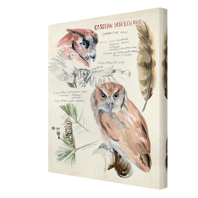 Cuadros modernos Wilderness Journal - Owl