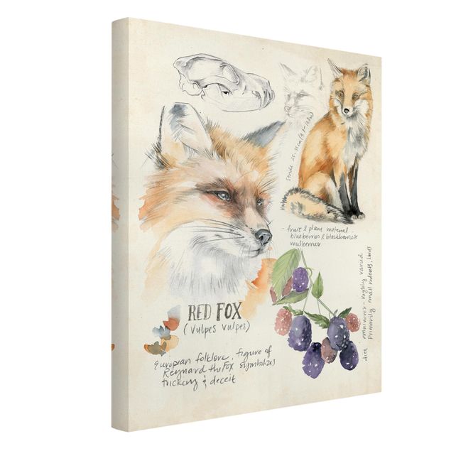 Cuadros de flores Wilderness Journal - Fox