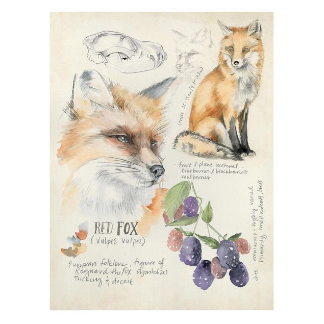 Cuadros naranja Wilderness Journal - Fox