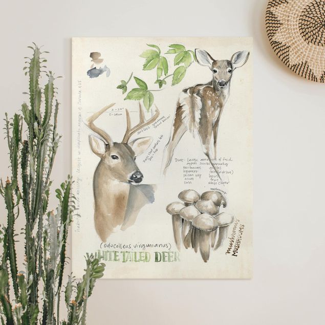 Decoración en la cocina Wilderness Journal - Deer