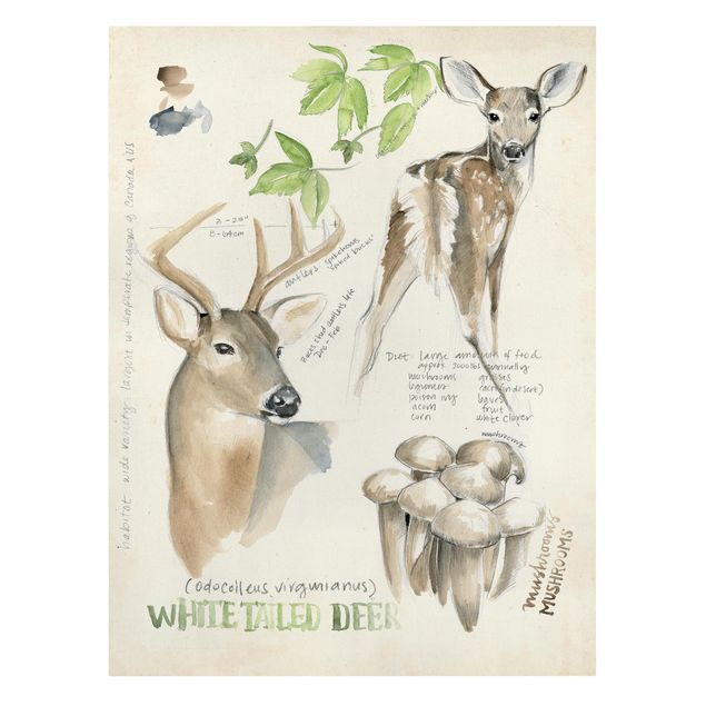 Cuadros de flores modernos Wilderness Journal - Deer